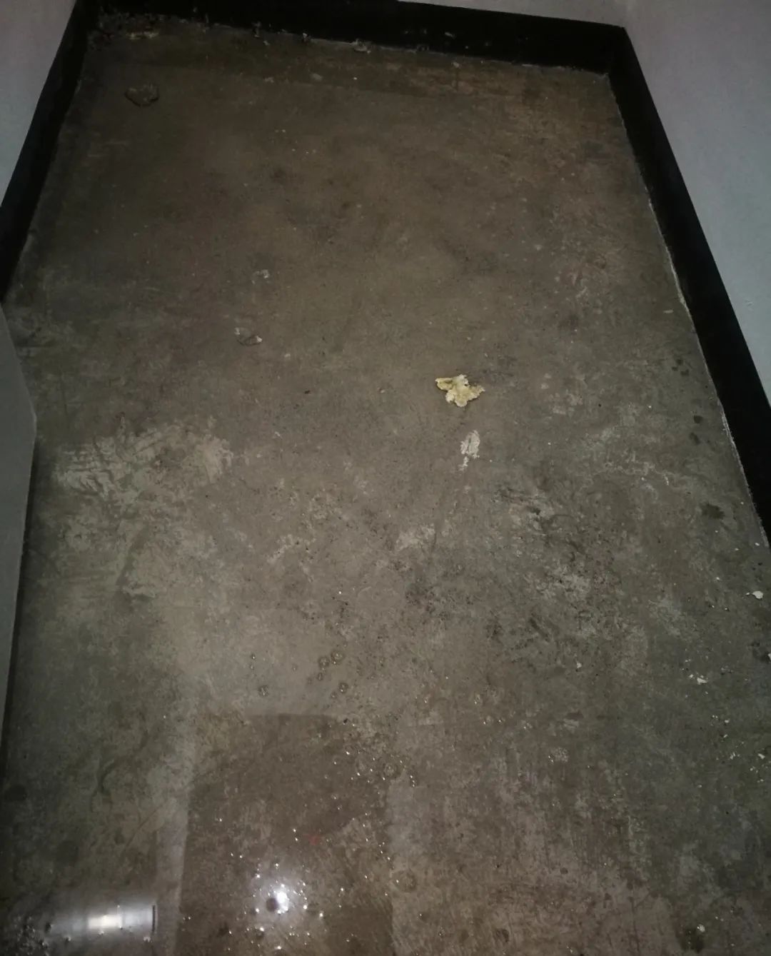 DƬ